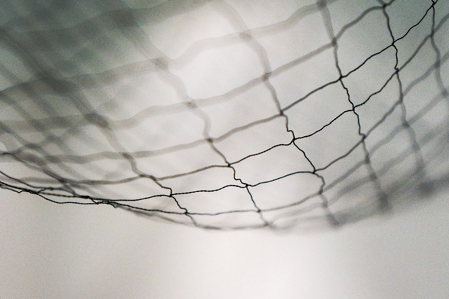 A photo of a net